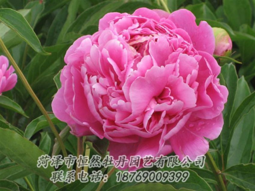 點(diǎn)擊查看詳細(xì)信息<br>標(biāo)題：月照山河 閱讀次數(shù)：1021